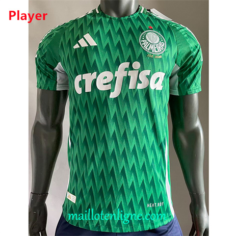 Thai Maillot Player Palmeiras spéciale Vert 2024 2025