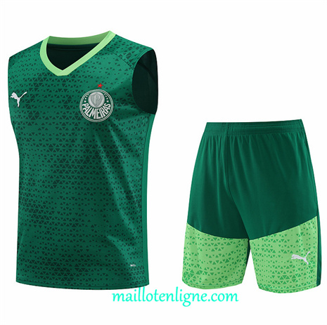 Thai Maillot Ensemble Palmeiras Debardeur Training Vert 2024 2025 ligne248852