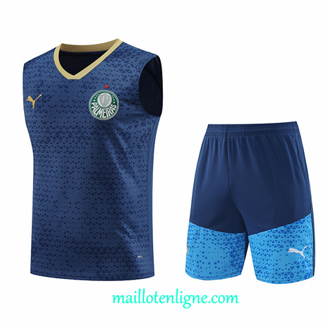 Thai Maillot Ensemble Palmeiras Debardeur Training Bleu 2024 2025 ligne248849