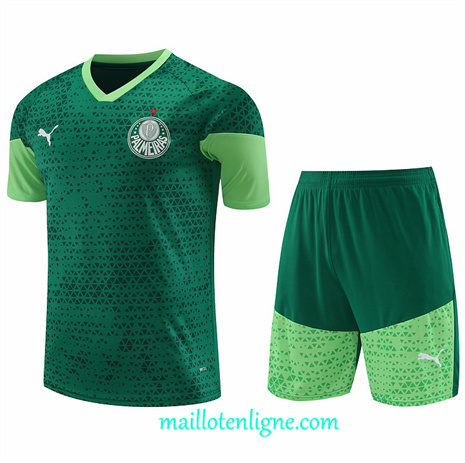 Thai Maillot Ensemble Palmeiras + Short Training Vert 2024 2025 ligne248846