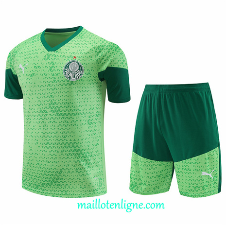 Thai Maillot Ensemble Palmeiras + Short Training Vert 2024 2025 ligne248847