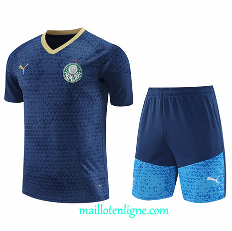 Thai Maillot Ensemble Palmeiras + Short Training Bleu 2024 2025 ligne248844